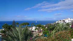 Tenerife_Las Americas_Jardin Tropical.JPG