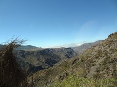 DSC01290