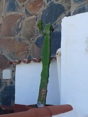 playa de Morro Besudo - playa del Águila