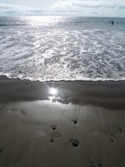 Playa el Pirata -  Morro Besudo - Playa del Águila