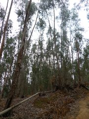P1340550