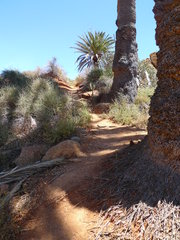 43 Barranco De Las Peñitas