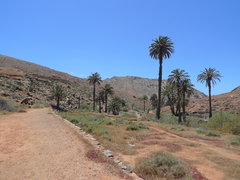 41 Barranco De Las Peñitas