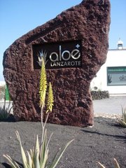 Museum Aloe Vera, between Arrieta and Haria