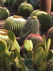 Тематический парк – мир кактусов Cactualdea (Гран Канария)2