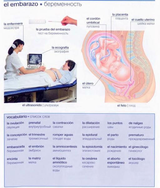 беременность.jpg
