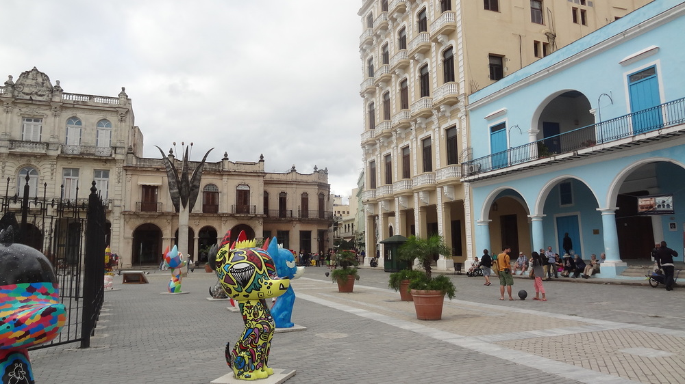 DSC09047.JPG