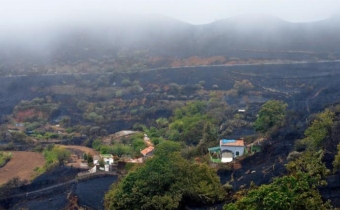 incendio-cumbre-gran-canaria-219_g.jpg.f4dc7696516fb74075eca106ea51efc8.jpg